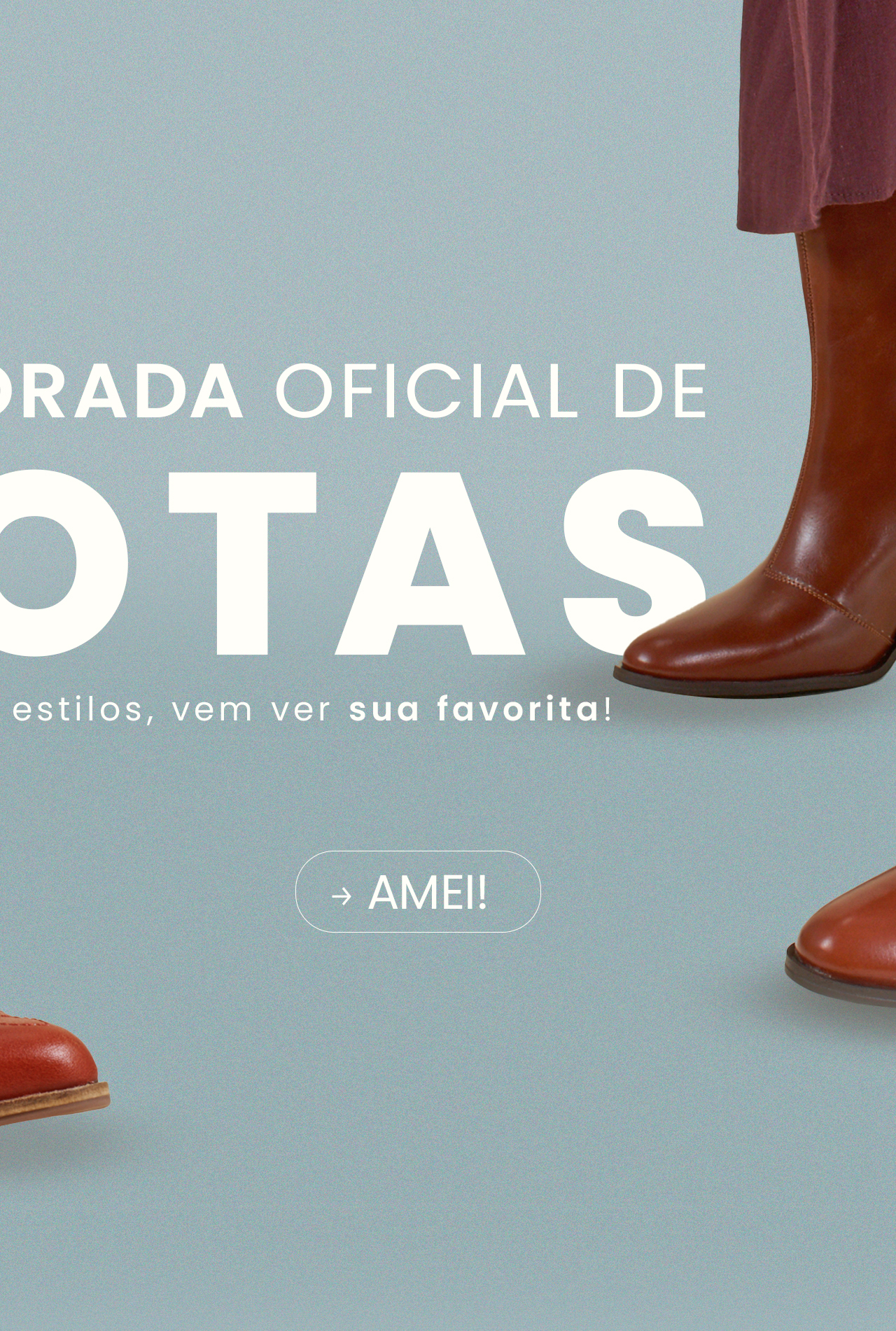 Botas femininas inverno 25