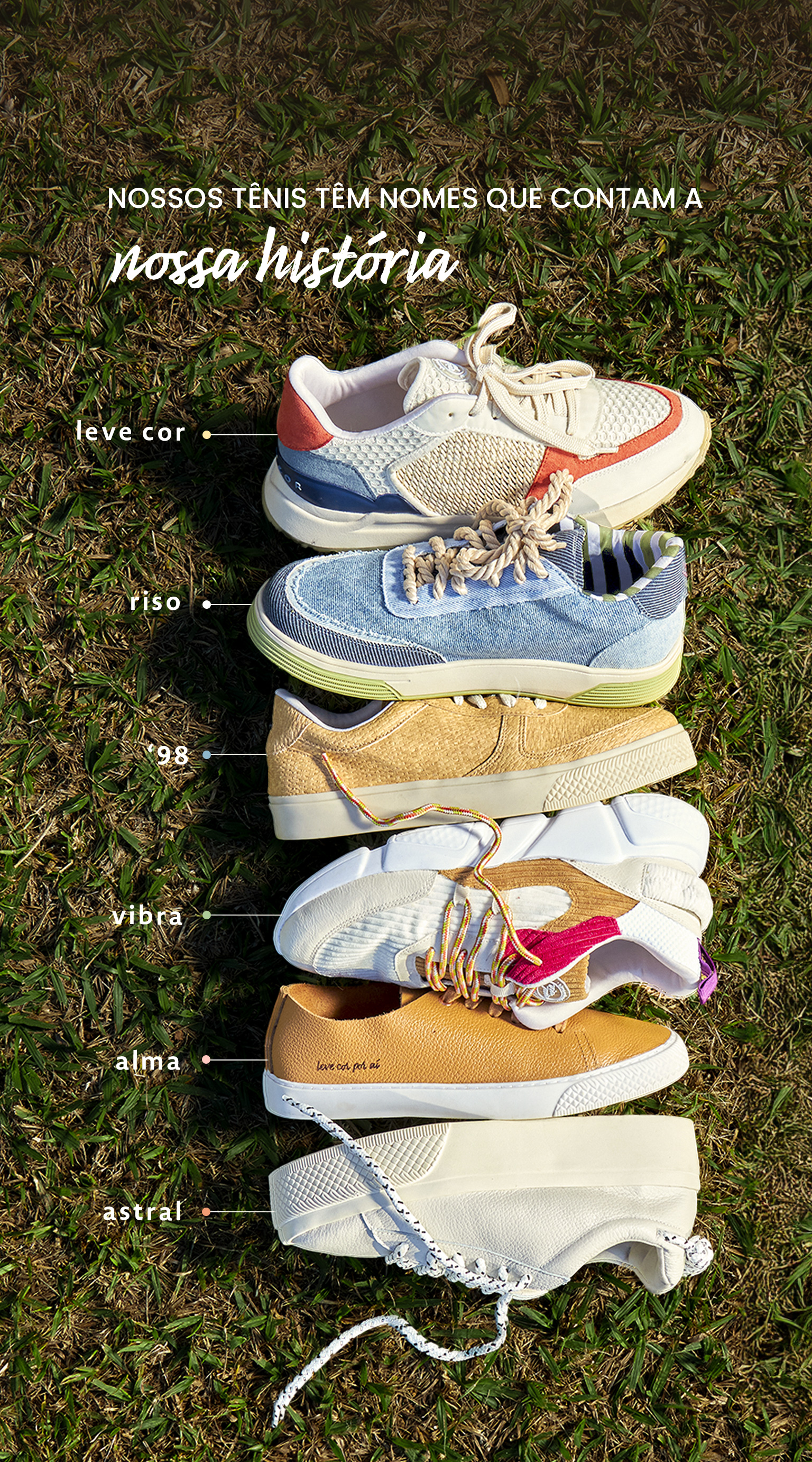 Tenis