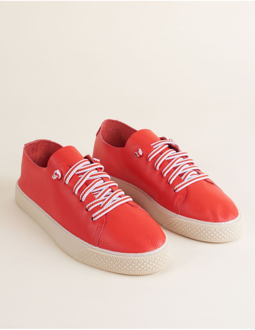 001002503130109_2-TN-0647