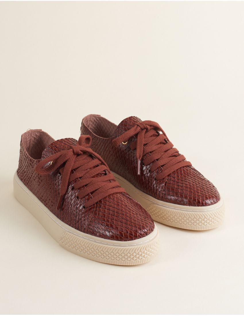 001002503200011_2-TN-0654